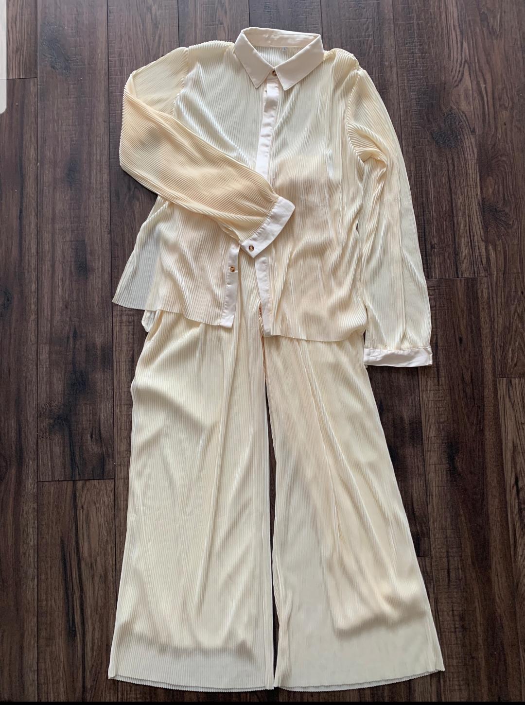 Ruby pleated wide Leg Pants with a shirt