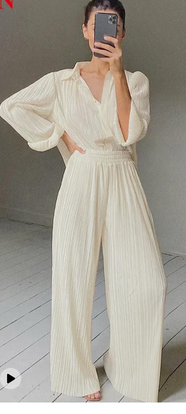 Ruby pleated wide Leg Pants with a shirt